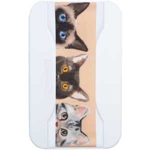 PRO for MagSafe - Curious Cats