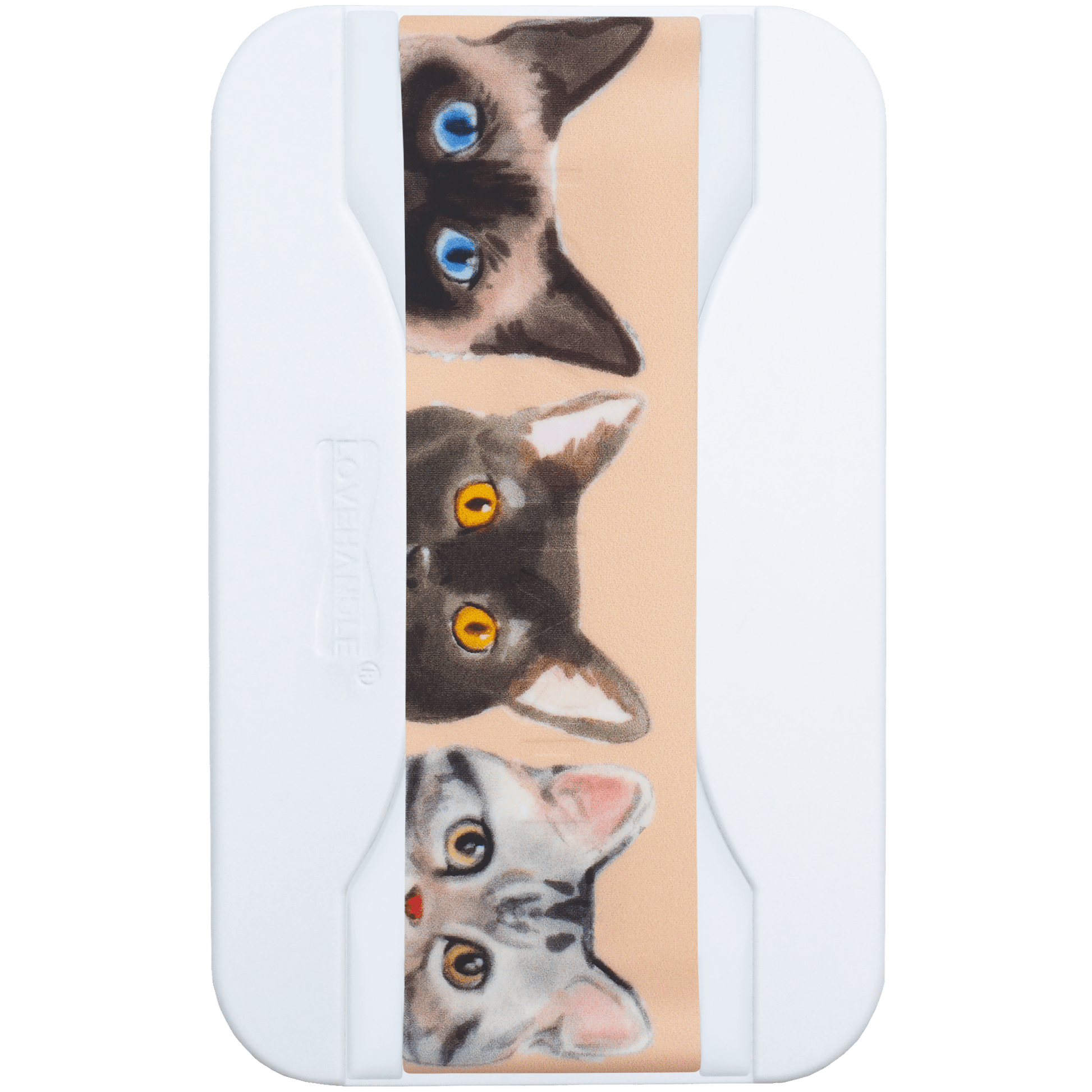 PRO for MagSafe - Curious Cats