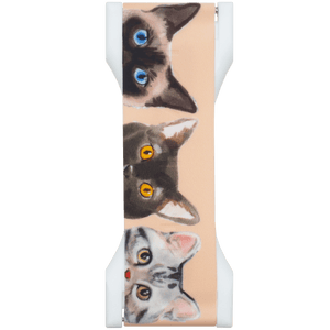 PRO - Gatos Curiosos