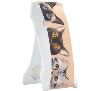 PRO - Gatos Curiosos