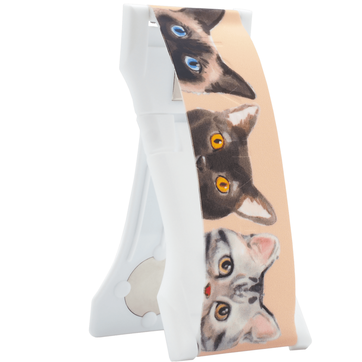 PRO - Gatos Curiosos